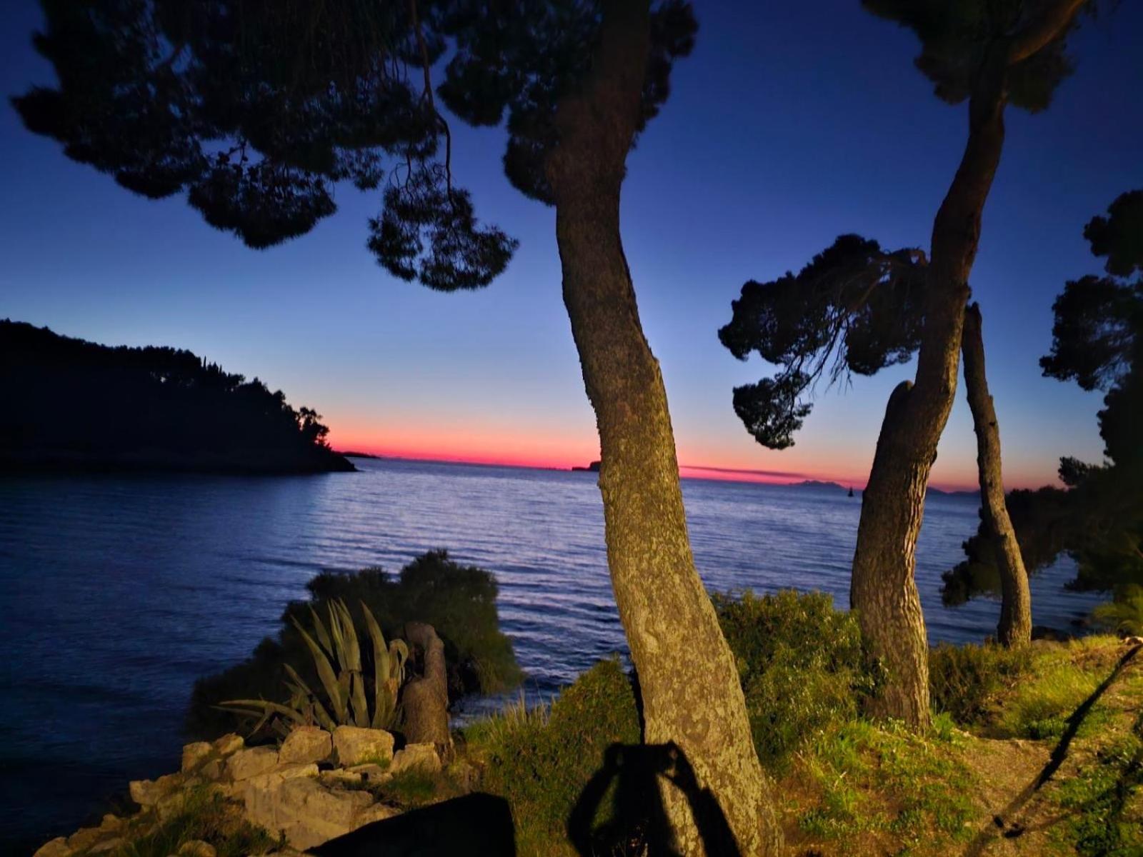 Villa Anica Dubrovnik - Luxurious With A Sea View Exterior foto